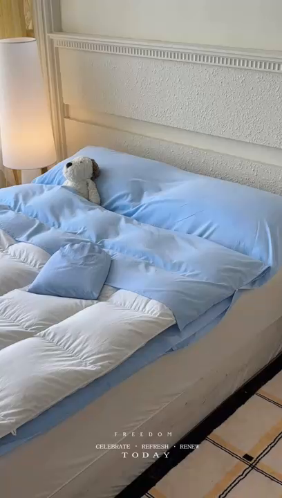 91家纺网 家纺一手货源 找家纺 老K2025年纯色酒店隔脏睡袋单人床双人床酒店睡袋 天空蓝