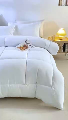 91家纺网 家纺一手货源 找家纺 （总）憨豆家纺 2025新款磨毛四季被春秋被丝棉加厚冬被学生宿舍被子酒店宾馆跨境被芯（含买家秀）