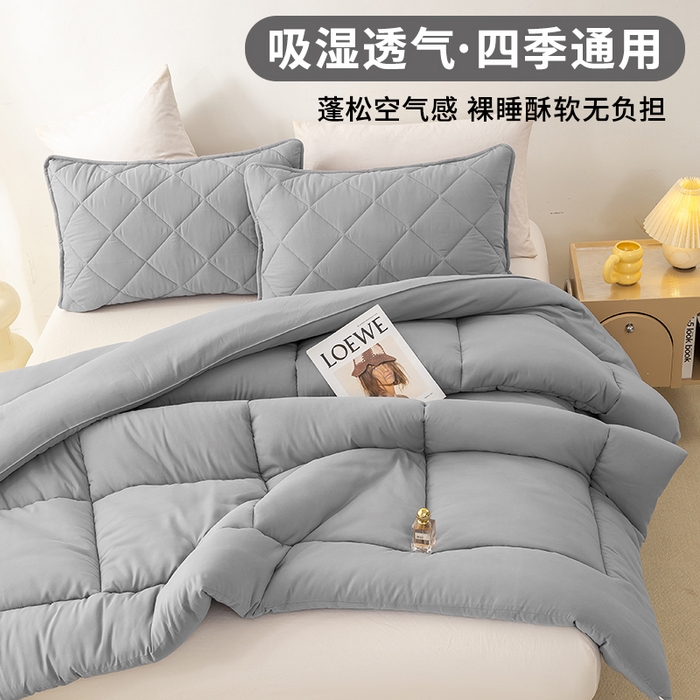 91家纺网 家纺一手货源 找家纺 憨豆家纺 2026新款磨毛四季被春秋被丝棉加厚冬被学生宿舍被子酒店宾馆跨境被芯 格调灰