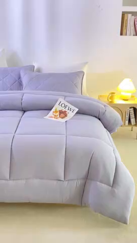 91家纺网 家纺一手货源 找家纺 憨豆家纺 2026新款磨毛四季被春秋被丝棉加厚冬被学生宿舍被子酒店宾馆跨境被芯 格调灰