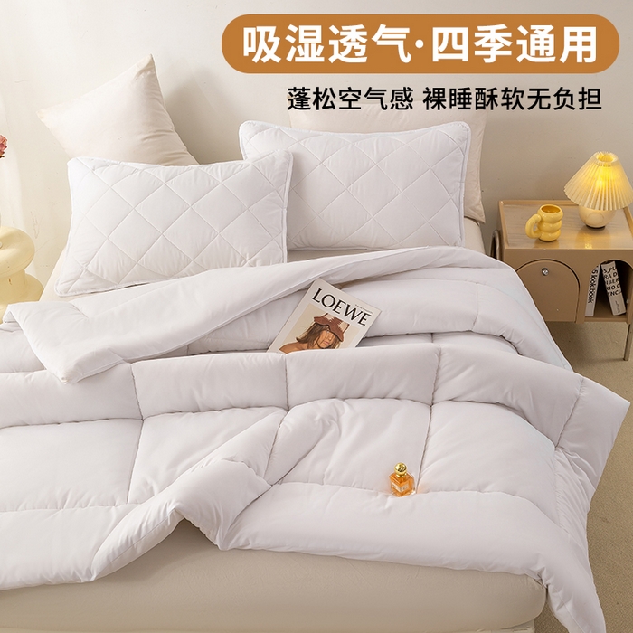 91家纺网 家纺一手货源 找家纺 憨豆家纺 2026新款磨毛四季被春秋被丝棉加厚冬被学生宿舍被子酒店宾馆跨境被芯 轻奢白