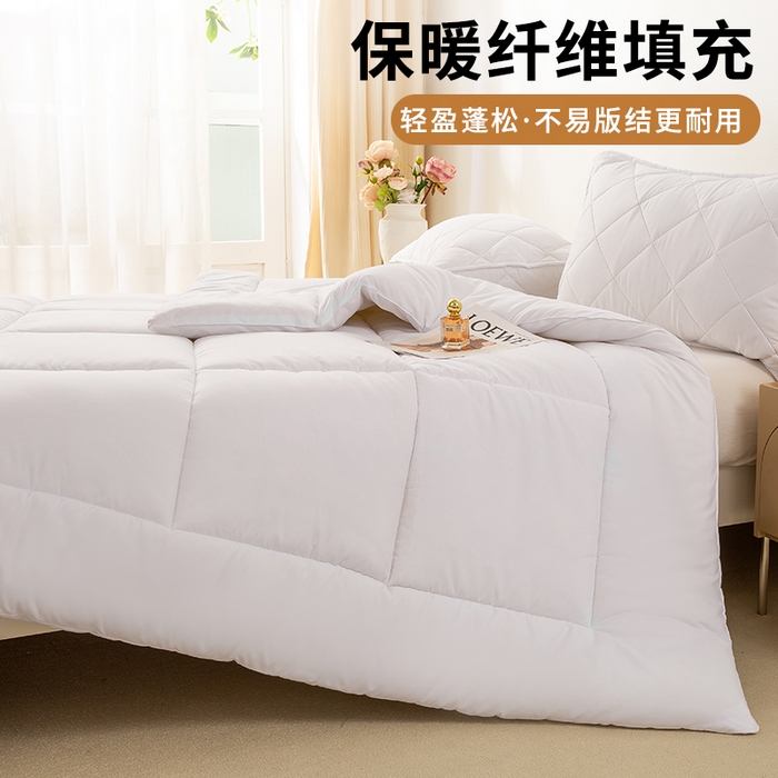 91家纺网 家纺一手货源 找家纺 憨豆家纺 2026新款磨毛四季被春秋被丝棉加厚冬被学生宿舍被子酒店宾馆跨境被芯 轻奢白