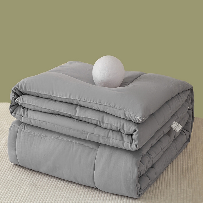 91家纺网 家纺一手货源 找家纺 憨豆家纺 2026新款磨毛四季被春秋被丝棉加厚冬被学生宿舍被子酒店宾馆跨境被芯 格调灰