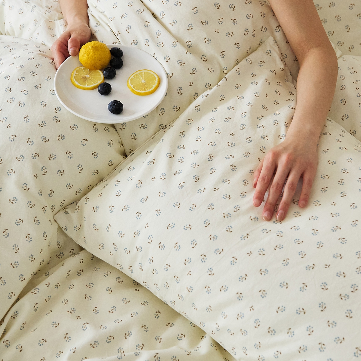 91家纺网 家纺一手货源 找家纺 EH家居 2025新款全棉斜纹印花-青春小调系列四件套 星野花园