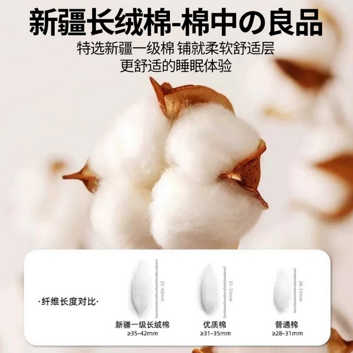 91家纺网 家纺一手货源 找家纺 晓时候 2025新款可拆洗新疆棉花床垫被褥子加厚冬被学生宿舍水洗棉床垫套-宿舍款 蜜粉大格