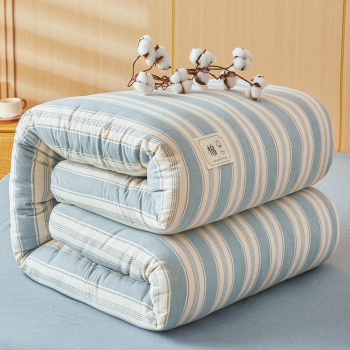 91家纺网 家纺一手货源 找家纺 爱屋及屋 2025新款水洗棉可拆洗棉花被被子被芯 左岸蓝