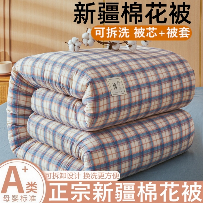 爱屋及屋 2025新款水洗棉可拆洗棉花被被子被芯 贝拉蓝