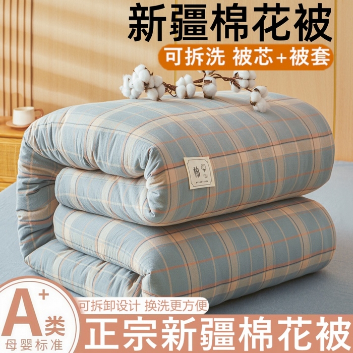 爱屋及屋 2025新款水洗棉可拆洗棉花被被子被芯 印象蓝