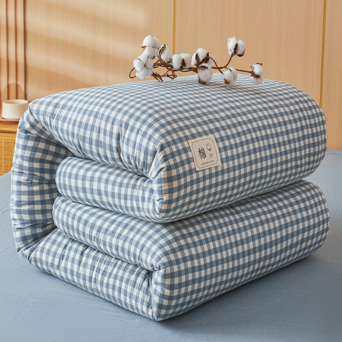爱屋及屋 2025新款水洗棉可拆洗棉花被被子被芯 蓝小格