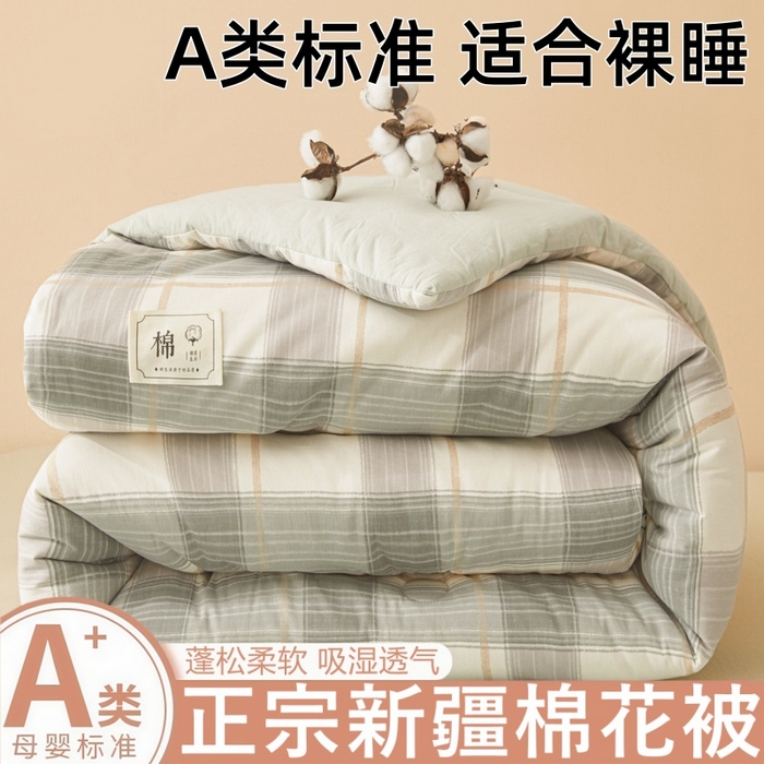 爱屋及屋 2025新款无印风水洗棉棉花冬被被子被芯 韵绿条纹
