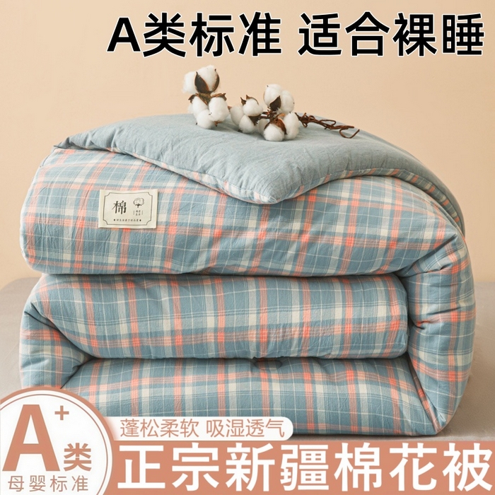 爱屋及屋 2025新款无印风水洗棉棉花冬被被子被芯 格韵蓝