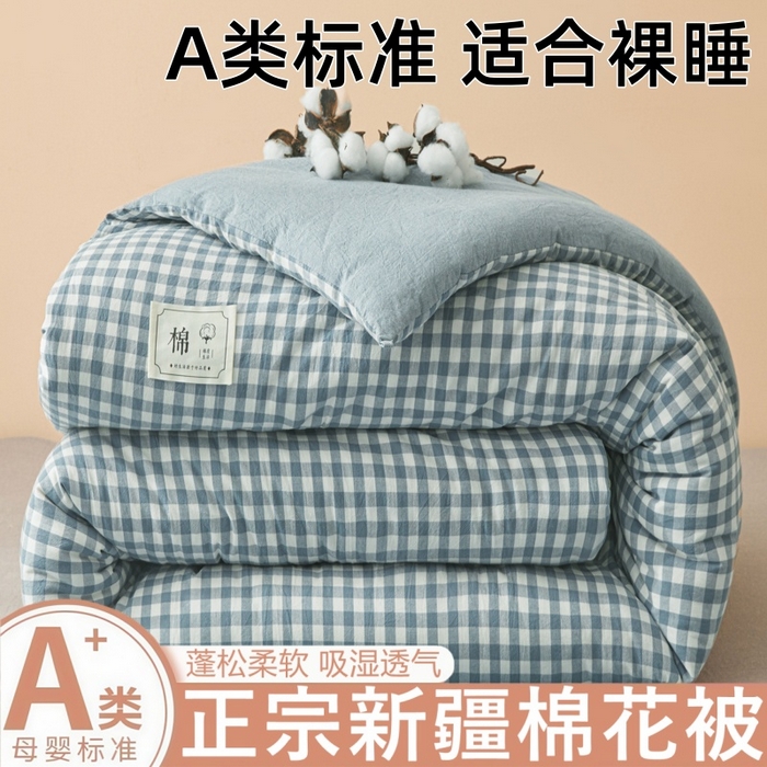 爱屋及屋 2025新款无印风水洗棉棉花冬被被子被芯 蓝小格