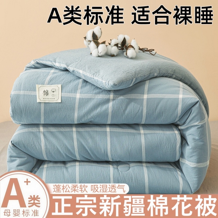 爱屋及屋 2025新款无印风水洗棉棉花冬被被子被芯 海蓝大格