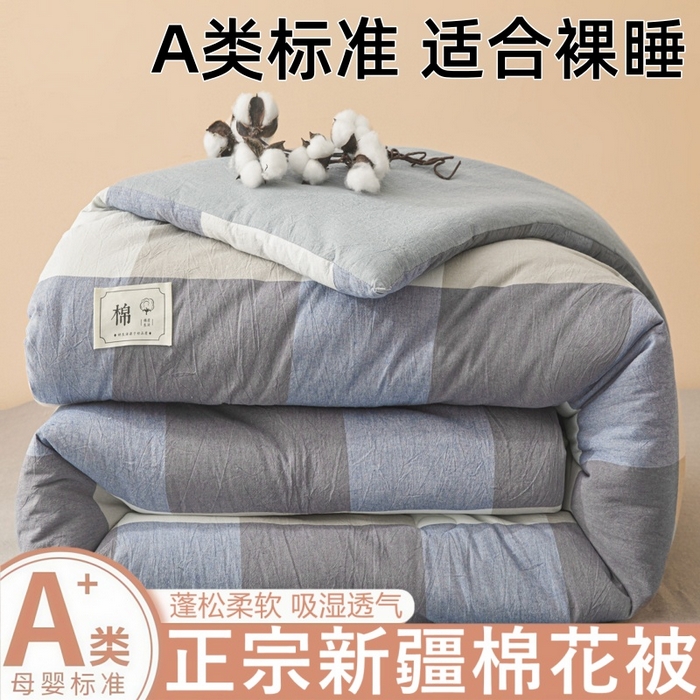 爱屋及屋 2025新款无印风水洗棉棉花冬被被子被芯 蓝咖大格
