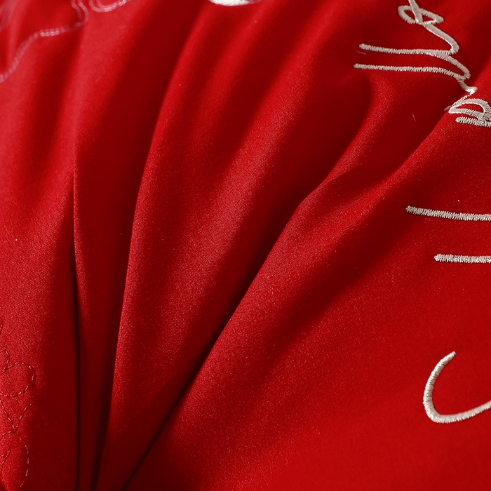 91家纺网 家纺一手货源 找家纺 大熊枕芯 2025新款蚕蛹蛋白美白护肤立体刺绣款枕头枕芯 红色 48x74cm/只