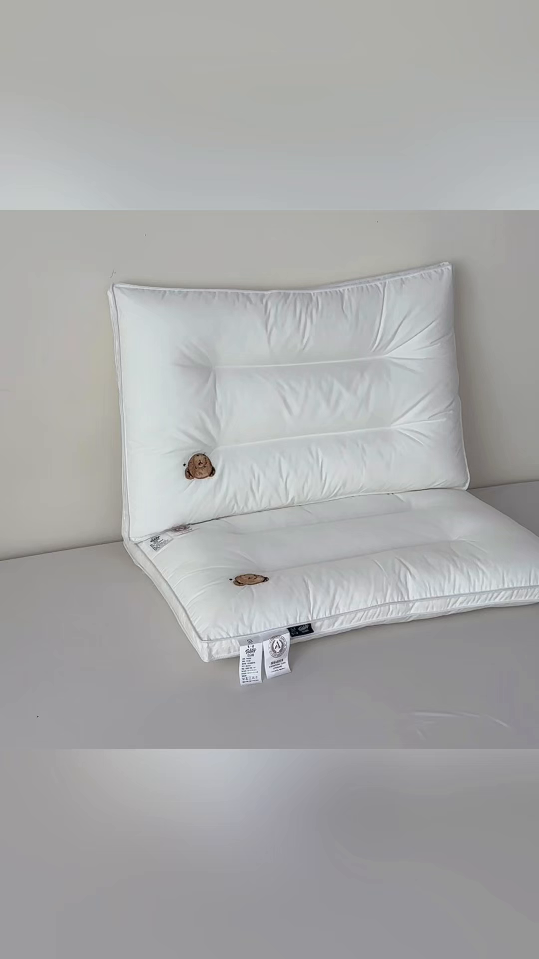 91家纺网 家纺一手货源 找家纺 （总）泰迪爱兰Teddy  2025新款全棉立体压边款3D 大片羽丝绒 枕芯