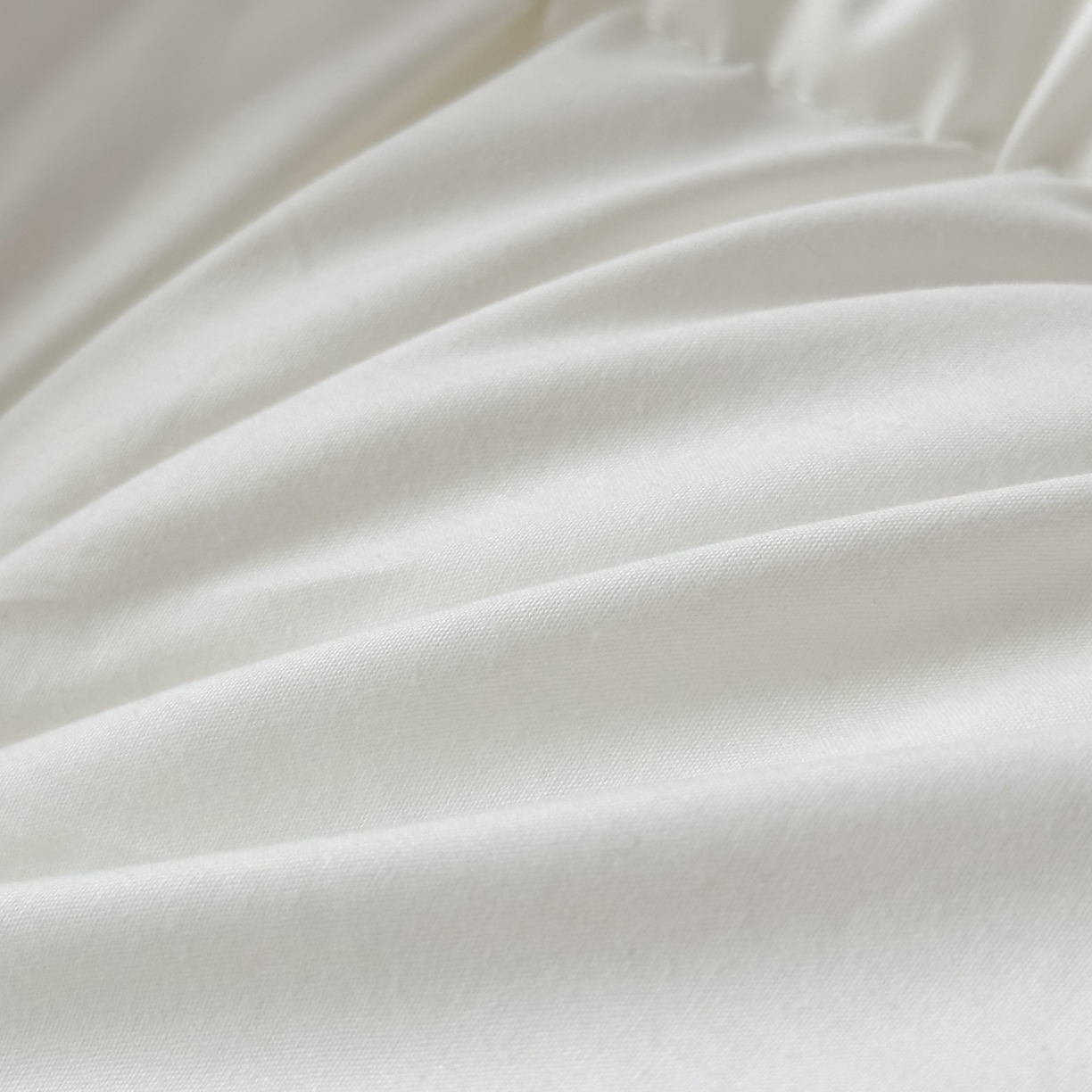 91家纺网 家纺一手货源 找家纺 泰迪爱兰Teddy  2026新款全棉立体压边款3D 大片羽丝绒 枕芯 中枕  750g