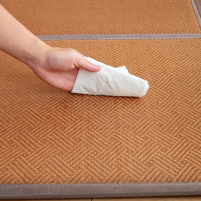 91家纺网 家纺一手货源 找家纺 北辰 2025新款席子凉席拼接地垫可折叠床垫床边垫打地铺神器 青春岁月