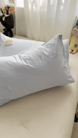 91家纺网 家纺一手货源 找家纺 （总）百寐 2025年学生季宿舍枕套毛巾绣非纯棉枕芯保护防尘套48*74cm