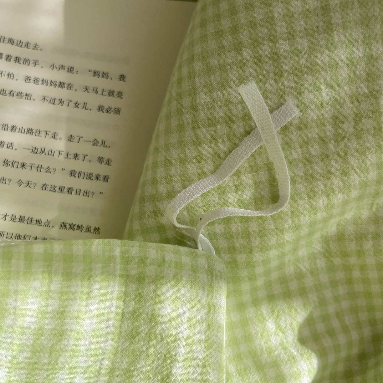 91家纺网 家纺一手货源 找家纺 繁花家居 2025新款超软少女手札系列学生季三件套四件套 少女-绿格+奶油黄