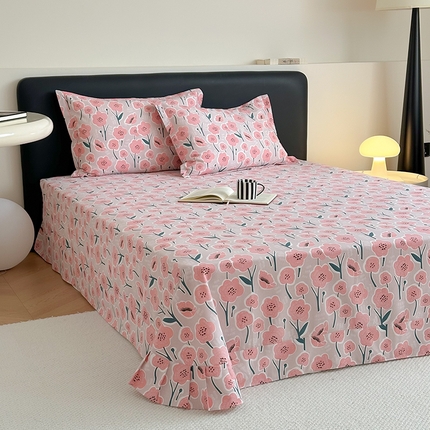 塞纳 2026新款铂金暖绒加厚磨毛单床单 满天星