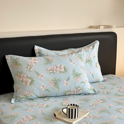 塞纳 2026新款铂金暖绒加厚磨毛单枕套 佳期如梦