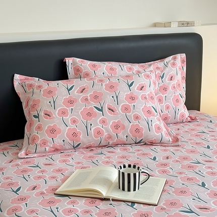 塞纳 2026新款铂金暖绒加厚磨毛单枕套 满天星