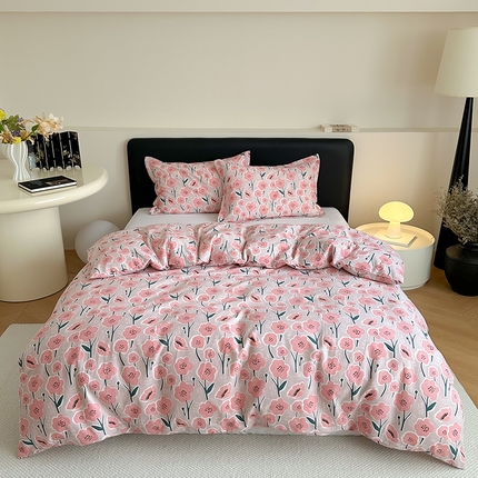 塞纳 2026新款铂金暖绒加厚磨毛单被套 满天星