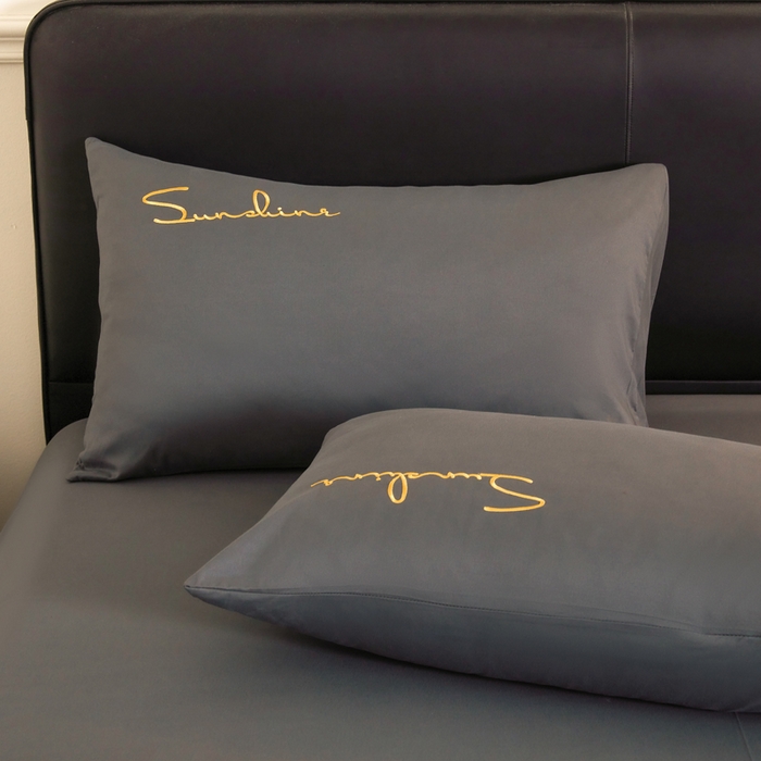 91家纺网 家纺一手货源 找家纺 七仙女家纺 2025新款水洗磨毛刺绣轻奢简约系列单被套单品被套被套单件 深灰