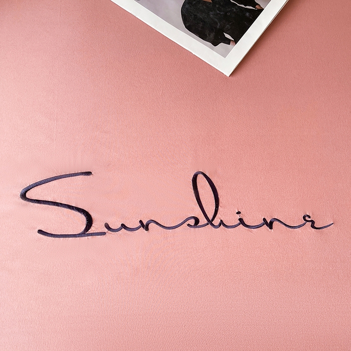 91家纺网 家纺一手货源 找家纺 七仙女家纺 2025新款水洗磨毛刺绣轻奢简约系列单床裙单品床裙床裙单件 豆沙色