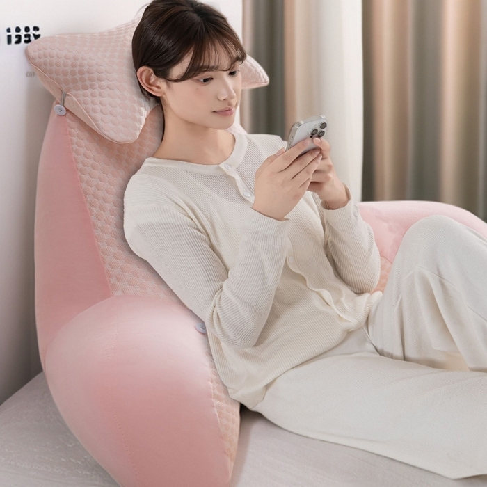 （总）眠小二靠枕靠垫 2025新款亲肤豆豆绒靠枕