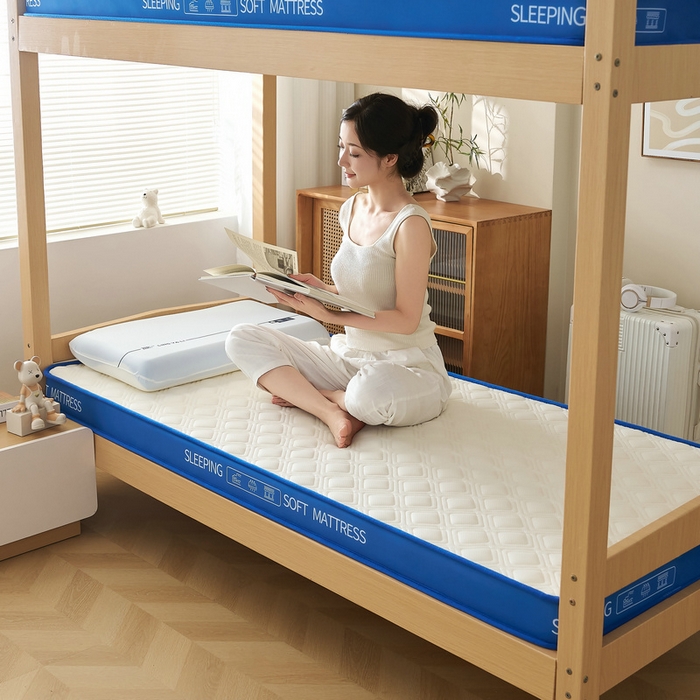 锦丝钰床垫 2025新款学生网眼透气款乳胶记忆棉床垫 网眼透气款-白色