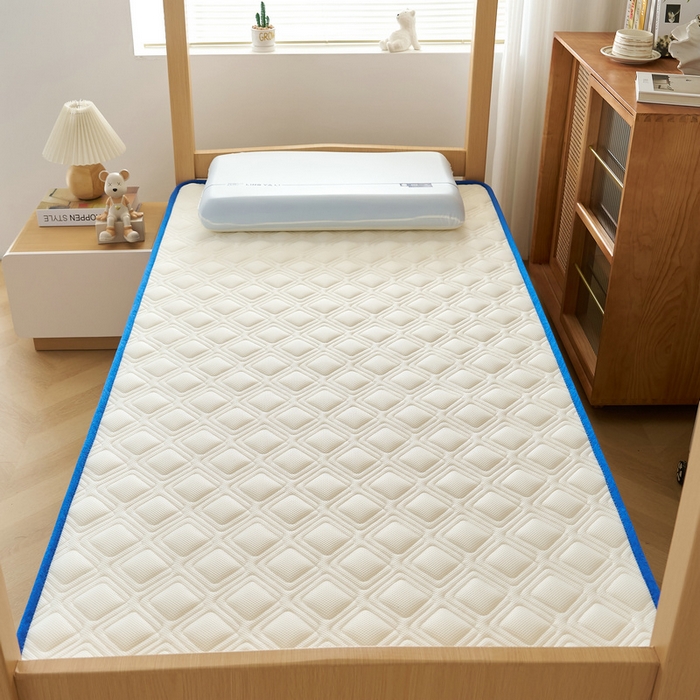 91家纺网 家纺一手货源 找家纺 锦丝钰床垫 2025新款学生网眼透气款乳胶记忆棉床垫 网眼透气款-白色