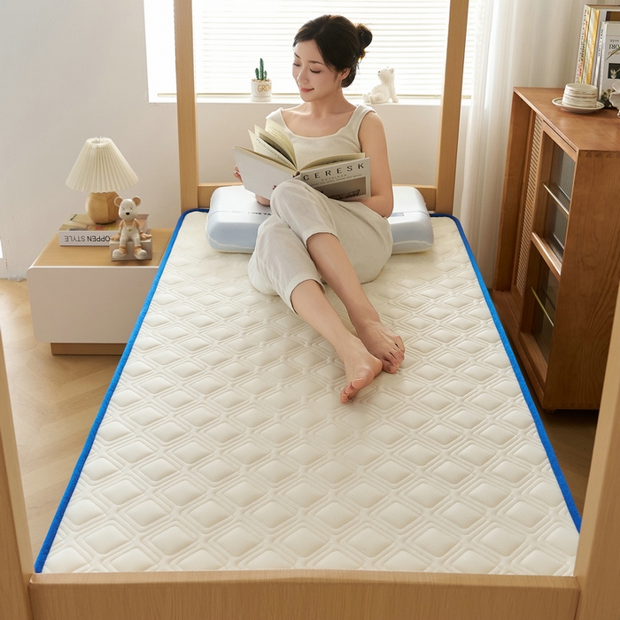 91家纺网 家纺一手货源 找家纺 锦丝钰床垫 2025新款学生网眼透气款乳胶记忆棉床垫 网眼透气款-白色