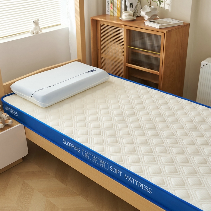 91家纺网 家纺一手货源 找家纺 锦丝钰床垫 2025新款学生网眼透气款乳胶记忆棉床垫 网眼透气款-白色