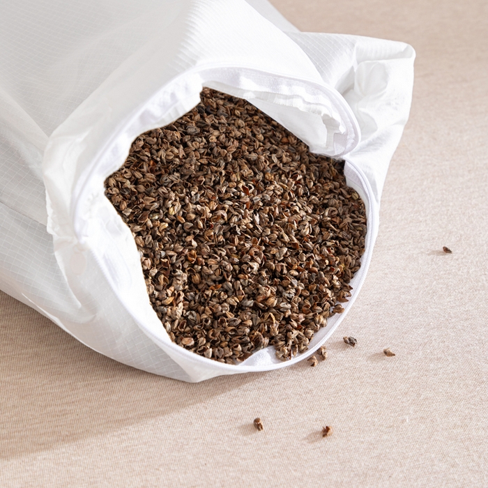 91家纺网 家纺一手货源 找家纺 芯洲2025新款全棉双层纱荞麦枕卡通可爱工艺款抱枕枕头枕芯 嘻哈猫-绿35x55