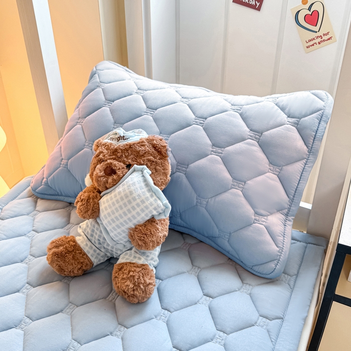 91家纺网 家纺一手货源 找家纺 梦初语 2025新款轻奢H刺绣学生宿舍上下铺床垫褥 雾蓝