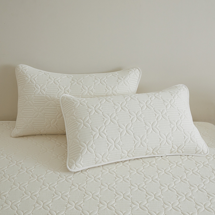 91家纺网 家纺一手货源 找家纺 芬晴家纺 2025新款A类全棉纯棉水洗棉大豆床笠单床笠单品床笠单件床笠 遇见-白