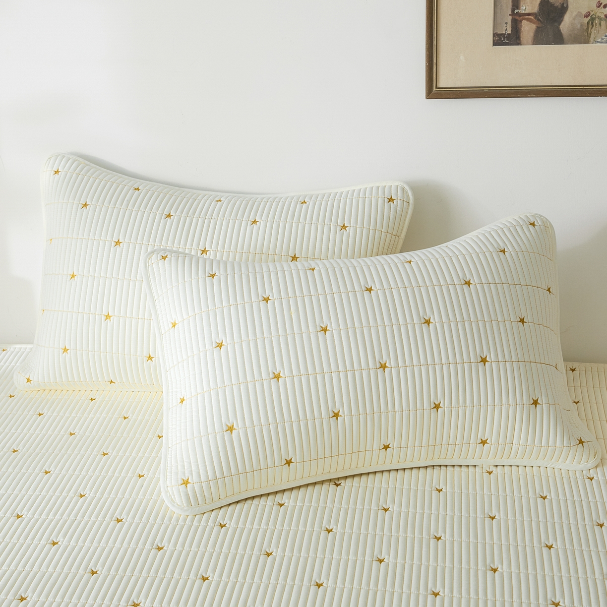 91家纺网 家纺一手货源 找家纺 芬晴家纺 2025新款A类大豆夹棉爱心防水床笠单床笠床笠单件 繁星-米白