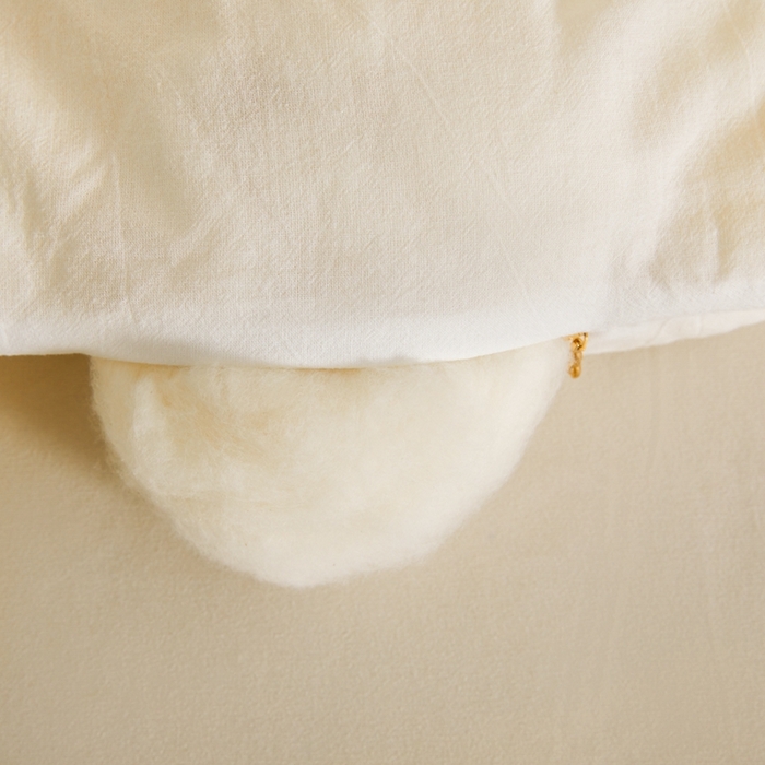 91家纺网 家纺一手货源 找家纺  （专版花型，翻版必究）维洋家纺 2025新款百分百新疆棉花冬被被子被芯 棉花-月白