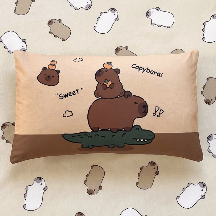 91家纺网 家纺一手货源 找家纺 蘭菲家纺 2025新款学生季幼儿园卡皮巴拉三件套大版系列 征服拉