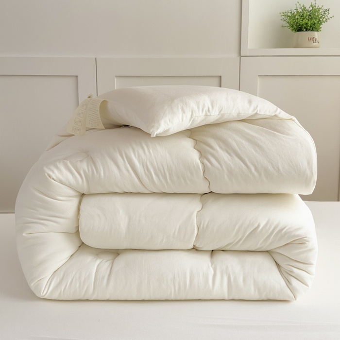 91家纺网 家纺一手货源 找家纺 居易简 2025新款学生宿舍被无染原棉学生季大豆纤维春秋被冬被 被子被芯 原棉-白