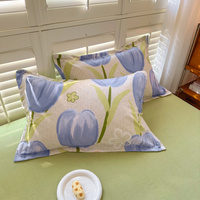 91家纺网 家纺一手货源 找家纺 （总）百寐 2025新款秋冬全棉生态磨毛印花单品枕套48*74cm单只一对枕芯保护套