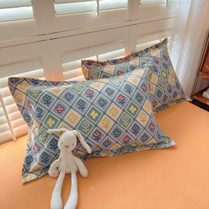 91家纺网 家纺一手货源 找家纺 （总）百寐 2025新款秋冬全棉生态磨毛印花单品枕套48*74cm单只一对枕芯保护套