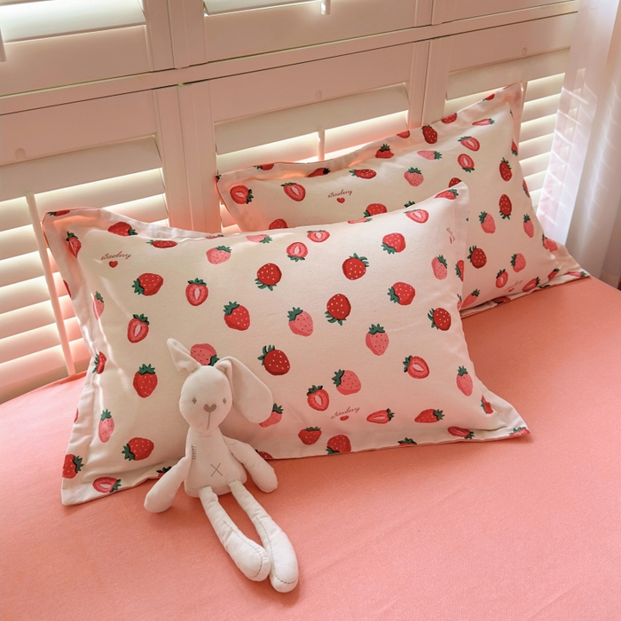 91家纺网 家纺一手货源 找家纺 （总）百寐 2025新款秋冬全棉生态磨毛印花单品枕套48*74cm单只一对枕芯保护套