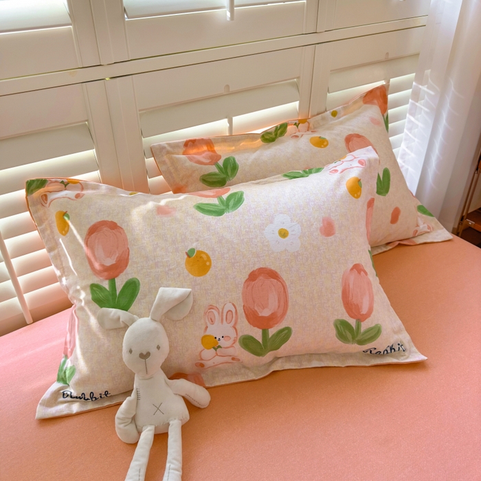 91家纺网 家纺一手货源 找家纺 （总）百寐 2025新款秋冬全棉生态磨毛印花单品枕套48*74cm单只一对枕芯保护套