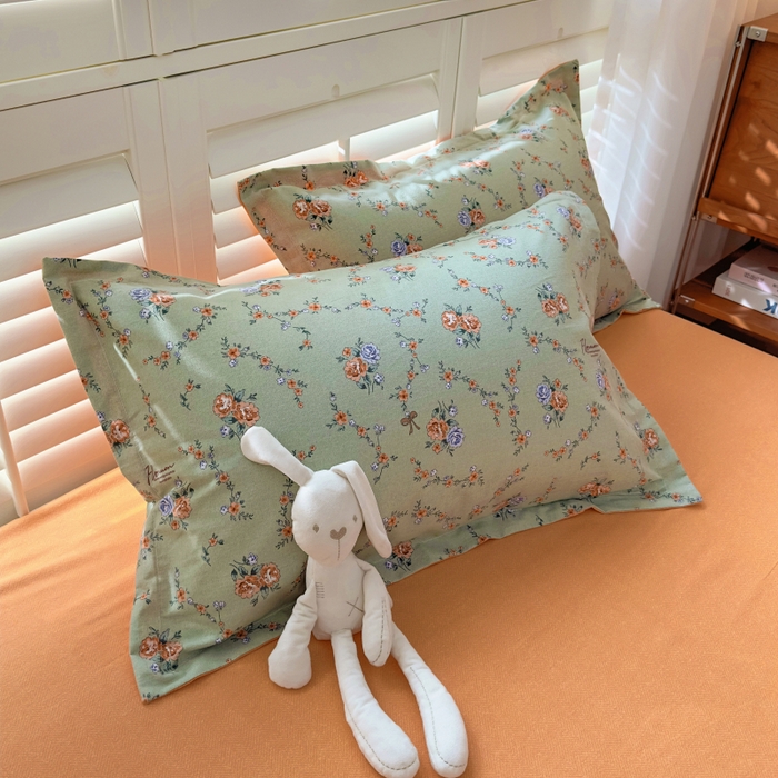 91家纺网 家纺一手货源 找家纺 （总）百寐 2025新款秋冬全棉生态磨毛印花单品枕套48*74cm单只一对枕芯保护套