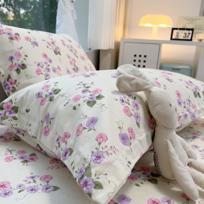 91家纺网 家纺一手货源 找家纺 百寐 2025新款秋冬全棉生态磨毛印花单品枕套48*74cm单只一对枕芯保护套 牵牛花