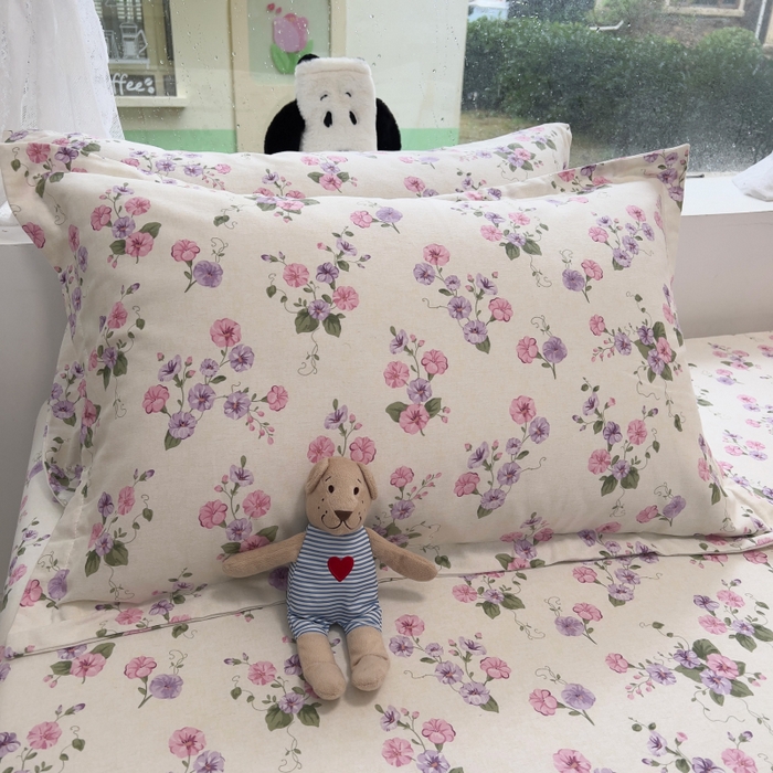 91家纺网 家纺一手货源 找家纺 百寐 2025新款秋冬全棉生态磨毛印花单品枕套48*74cm单只一对枕芯保护套 牵牛花