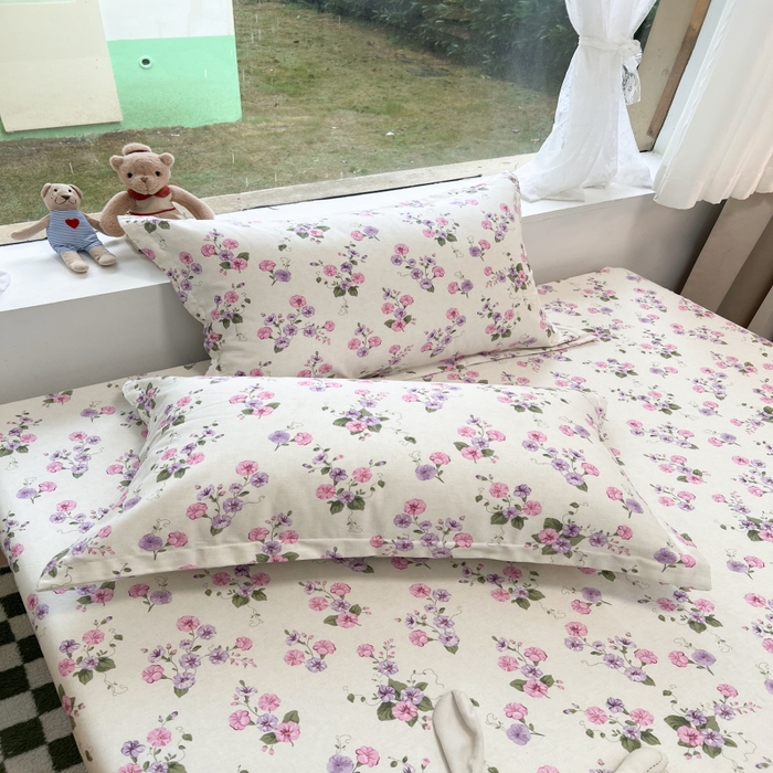 91家纺网 家纺一手货源 找家纺 百寐 2025新款秋冬全棉生态磨毛印花单品枕套48*74cm单只一对枕芯保护套 牵牛花